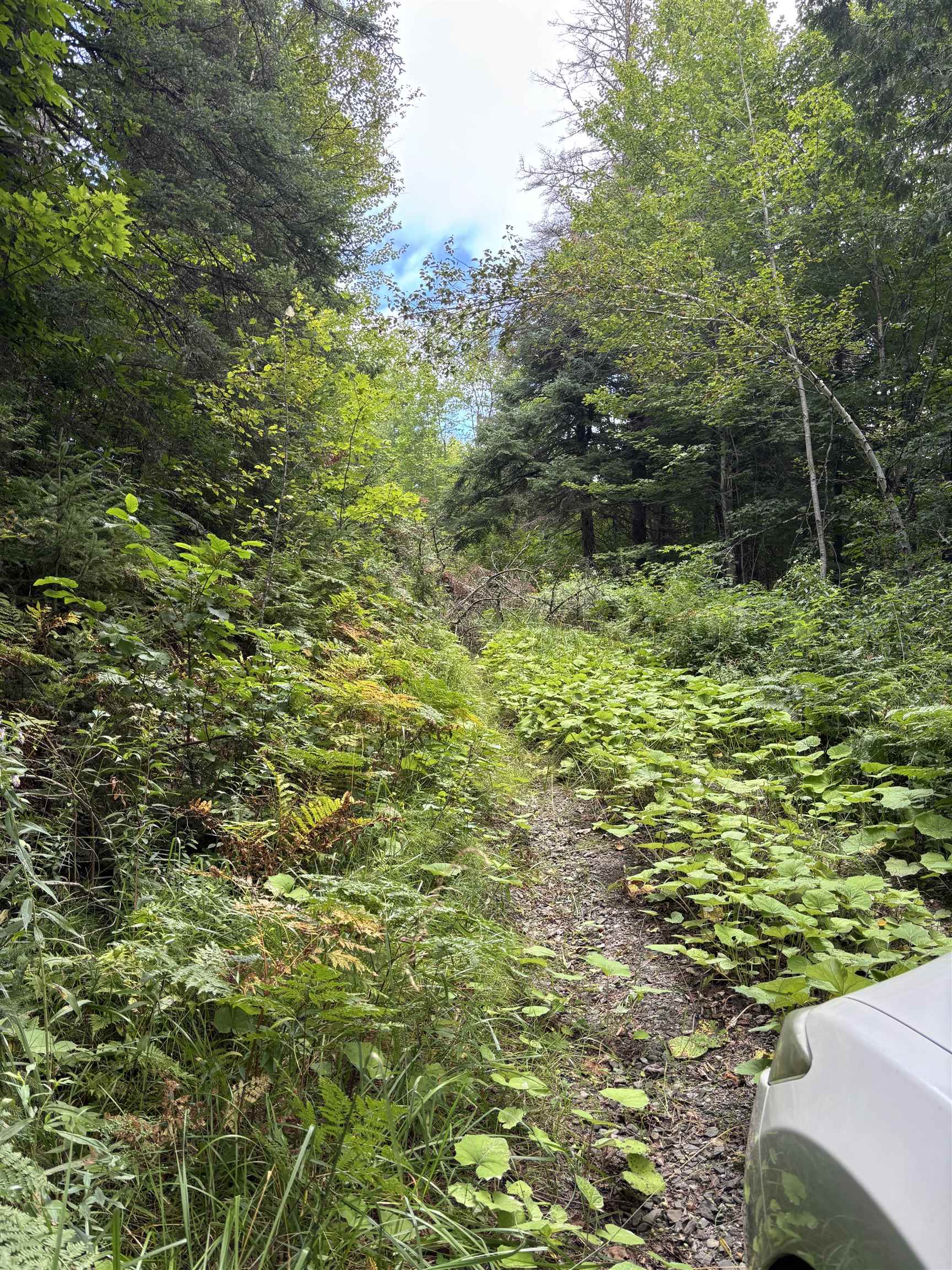 5628 South Wheelock Road