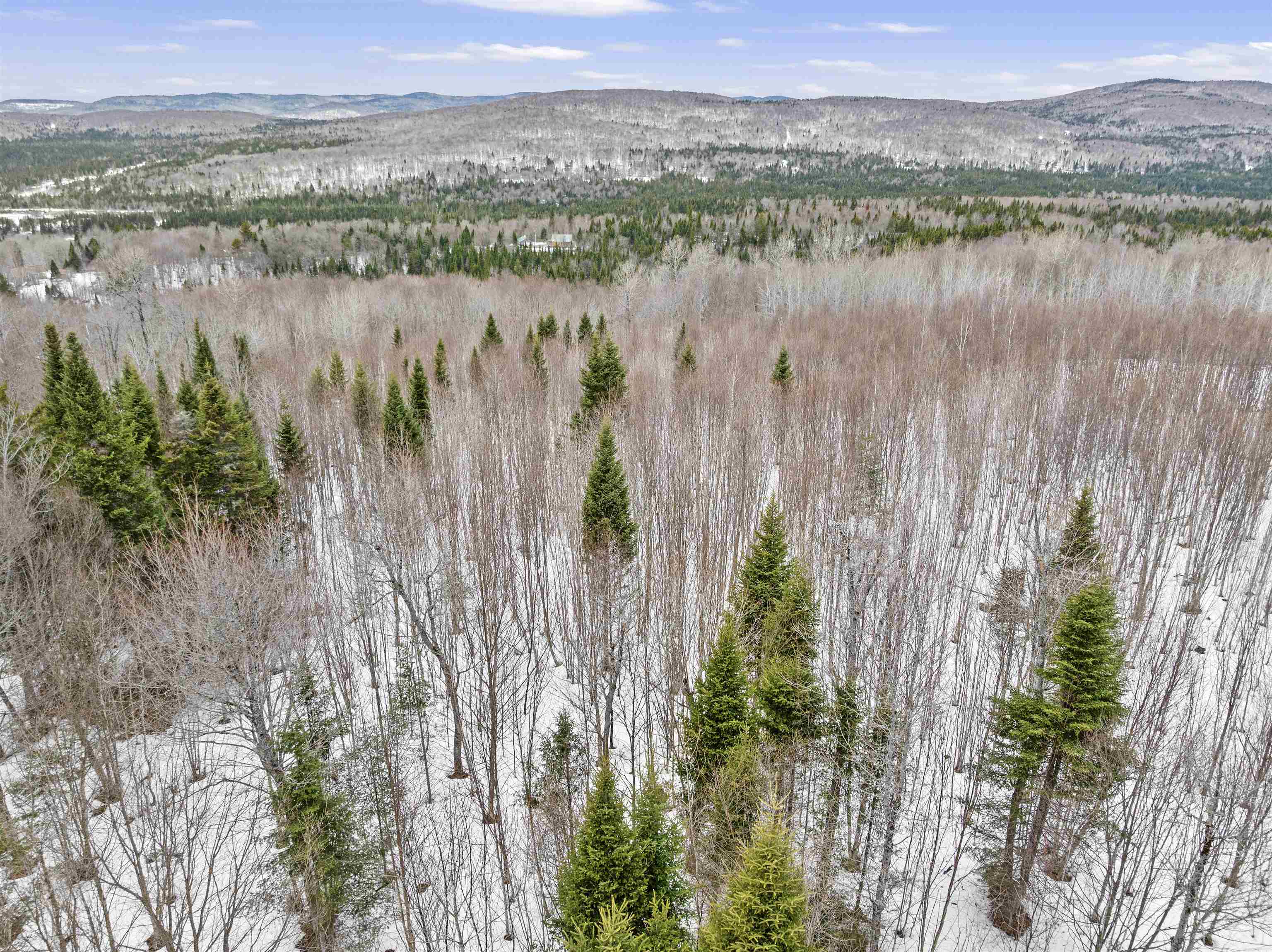 Lot 5 Lonny Demmons Road