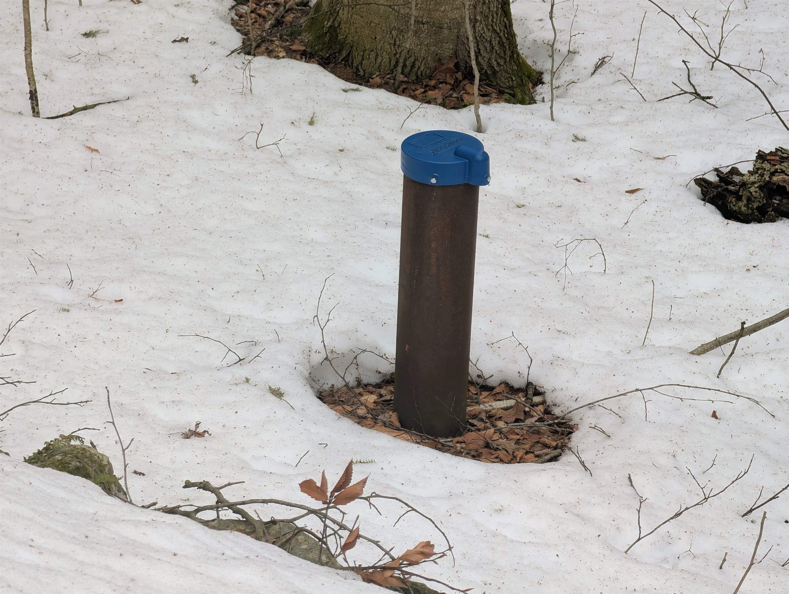 16 King Arthur Drive 010