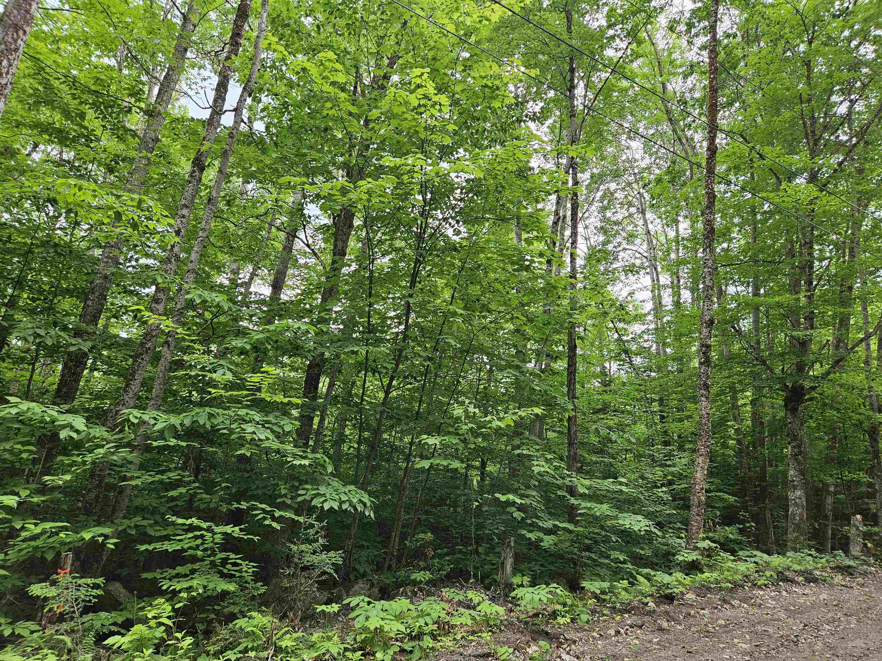 Lot 90 Faraway Road