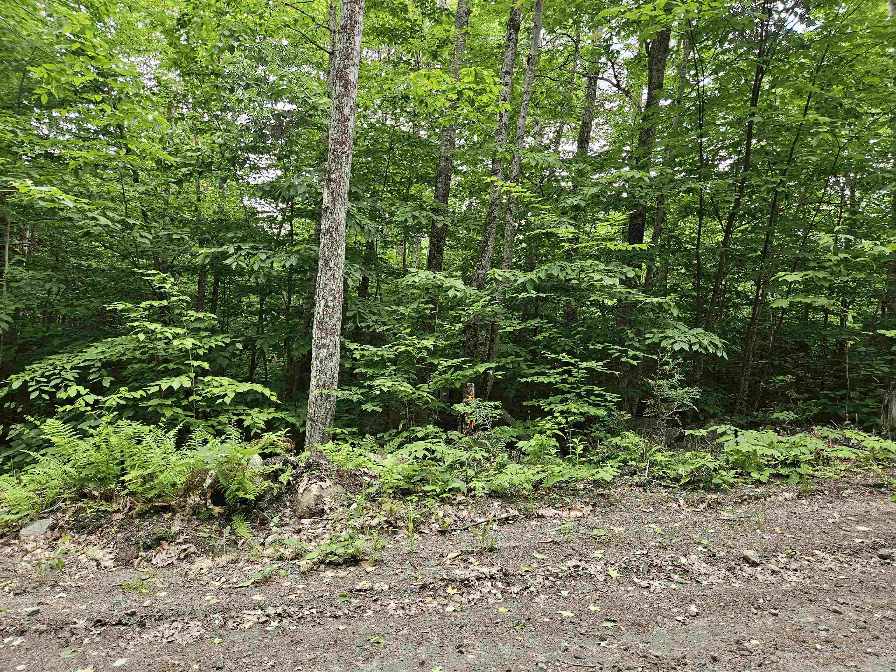 Lot 90 Faraway Road