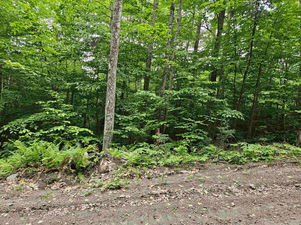 Photo of 90 Faraway Road, Dalton, NH 03598 (MLS # 4991405)