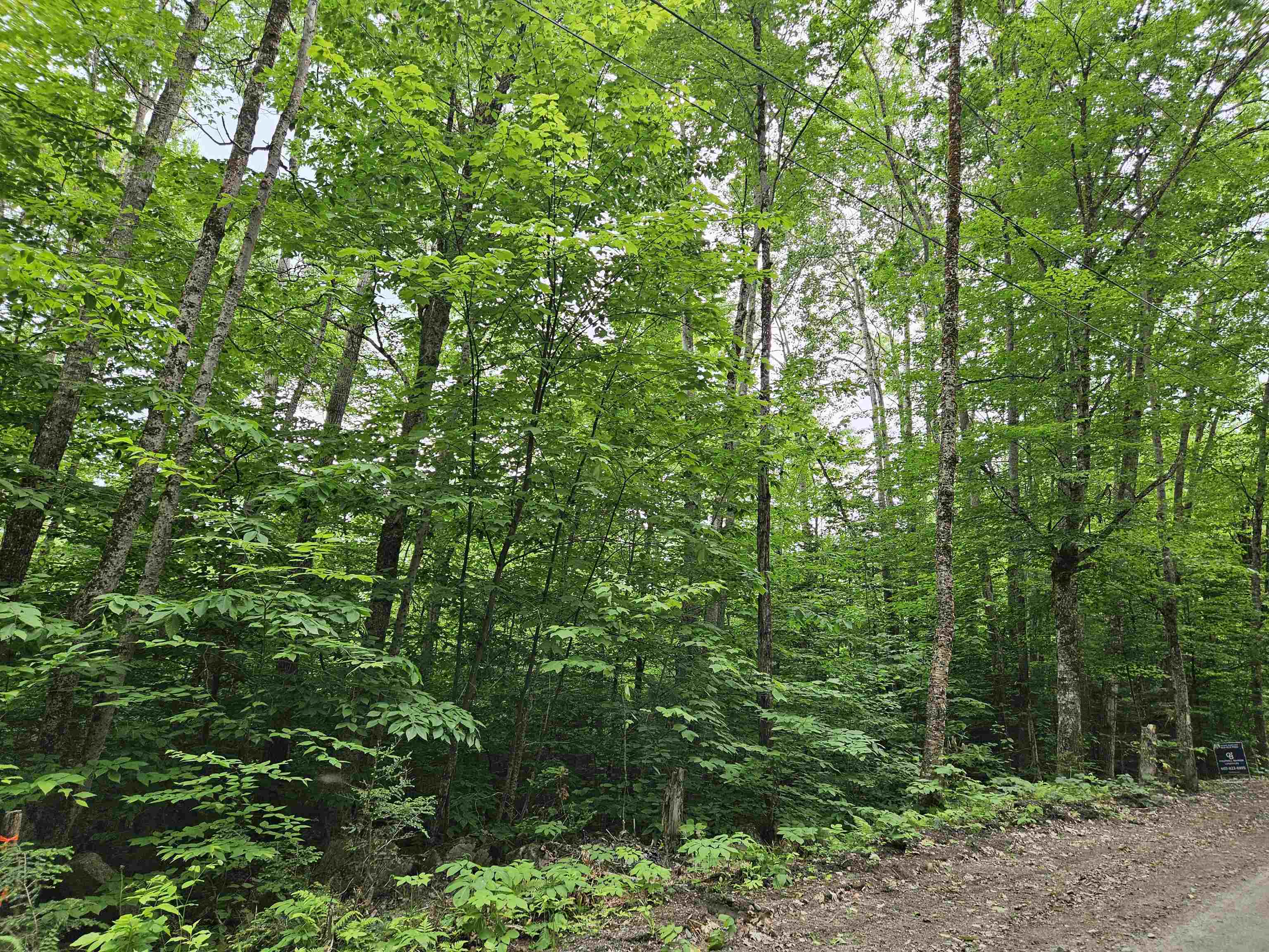 Lot 90 Faraway Road