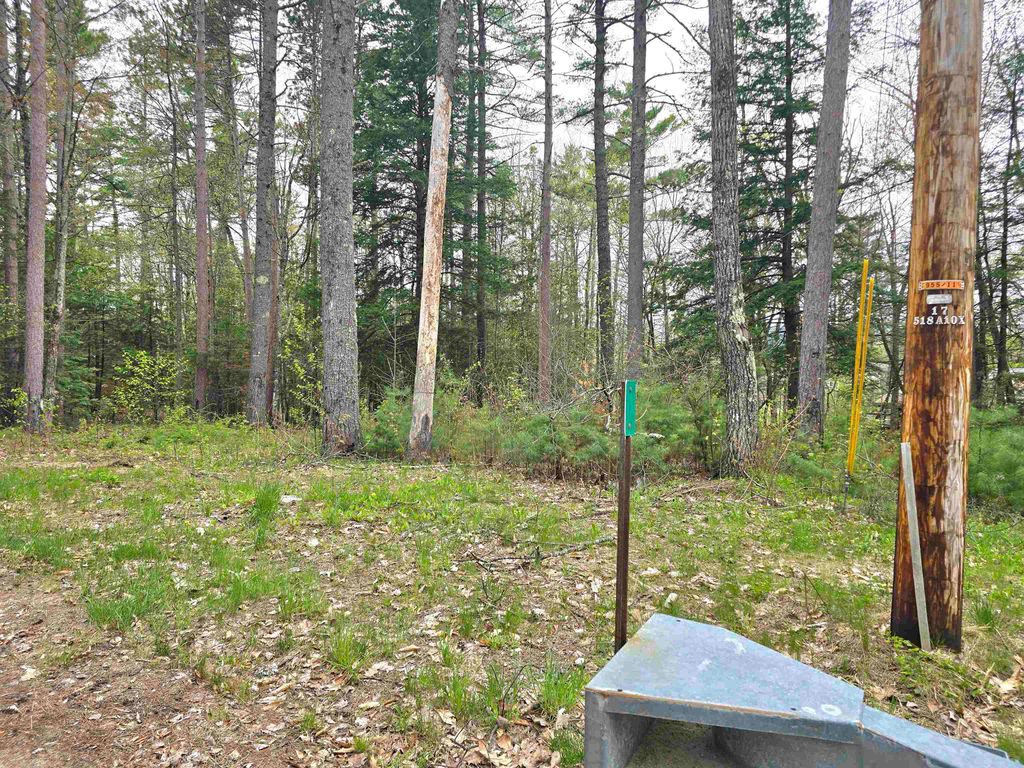 Photo of 260 Thompson Road, Conway, NH 03860 (MLS # 5088323)
