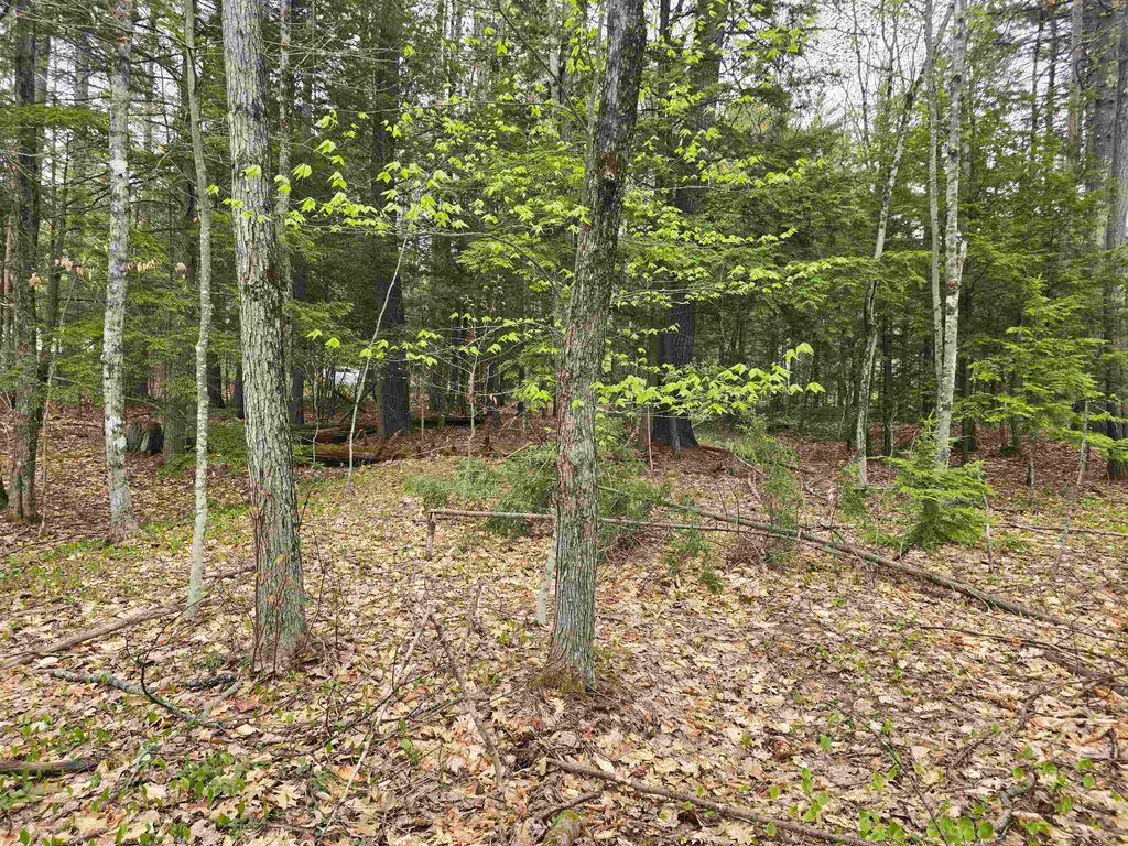 Photo of 260 Thompson Road, Conway, NH 03860 (MLS # 5088323)