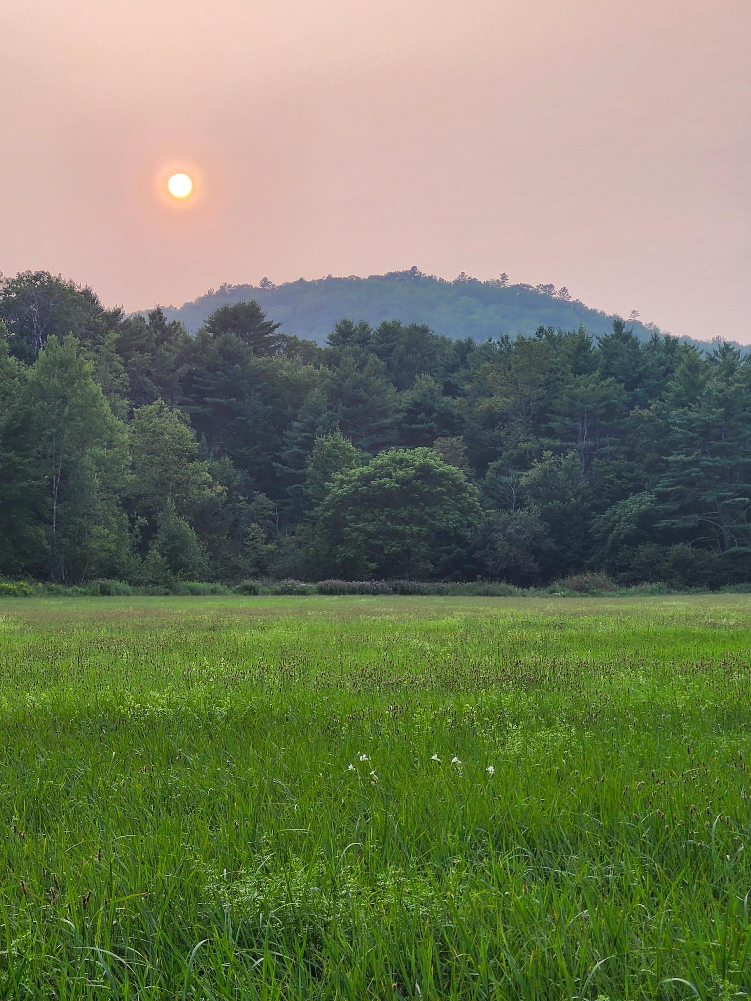 Mill Brook Road Lot # 4