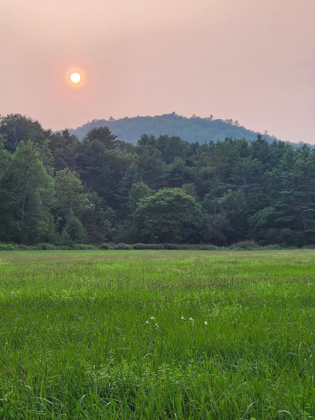 Photo of Mill Brook Road #Lot  4, Landaff, NH 03585 (MLS # 5077988)