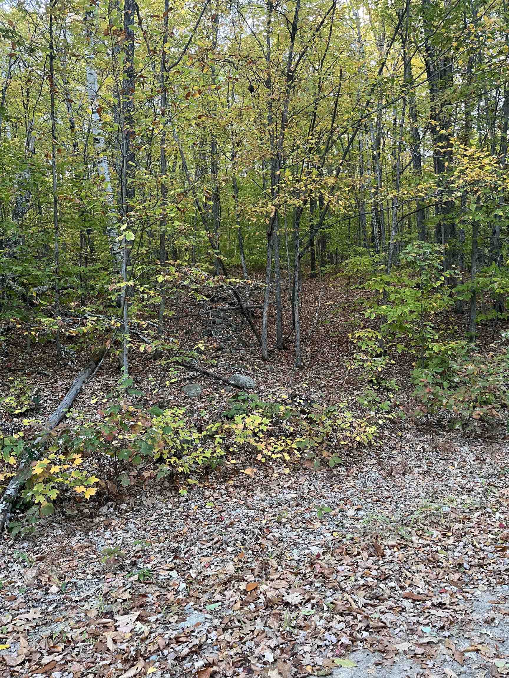 E-15 David Thompson Drive