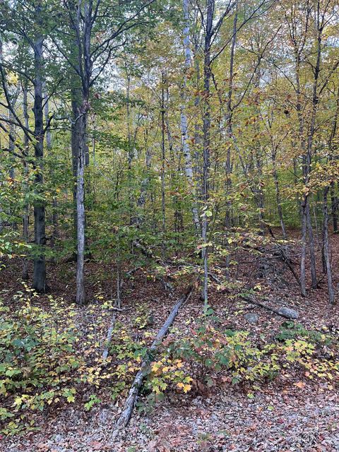 E-15 David Thompson Drive Campton NH 03223
