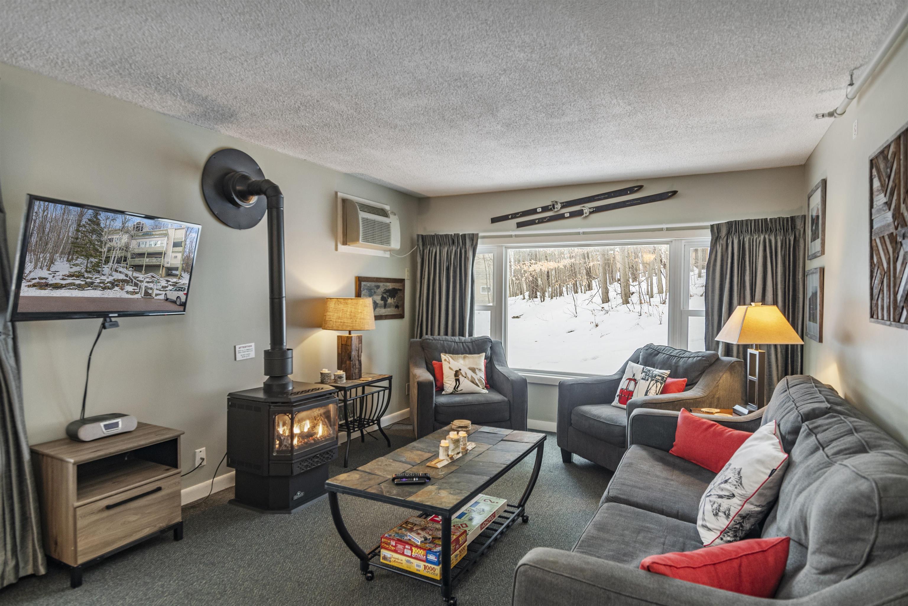 220 Mountainside Drive E203