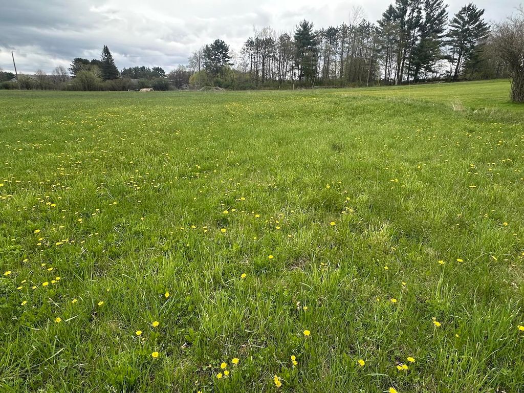 Photo of 0 Brushwood Road, Haverhill, NH 03765 (MLS # 5088748)