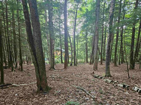 Map 132 Lot 115 Arrowhead Lane Gilmanton NH 03237