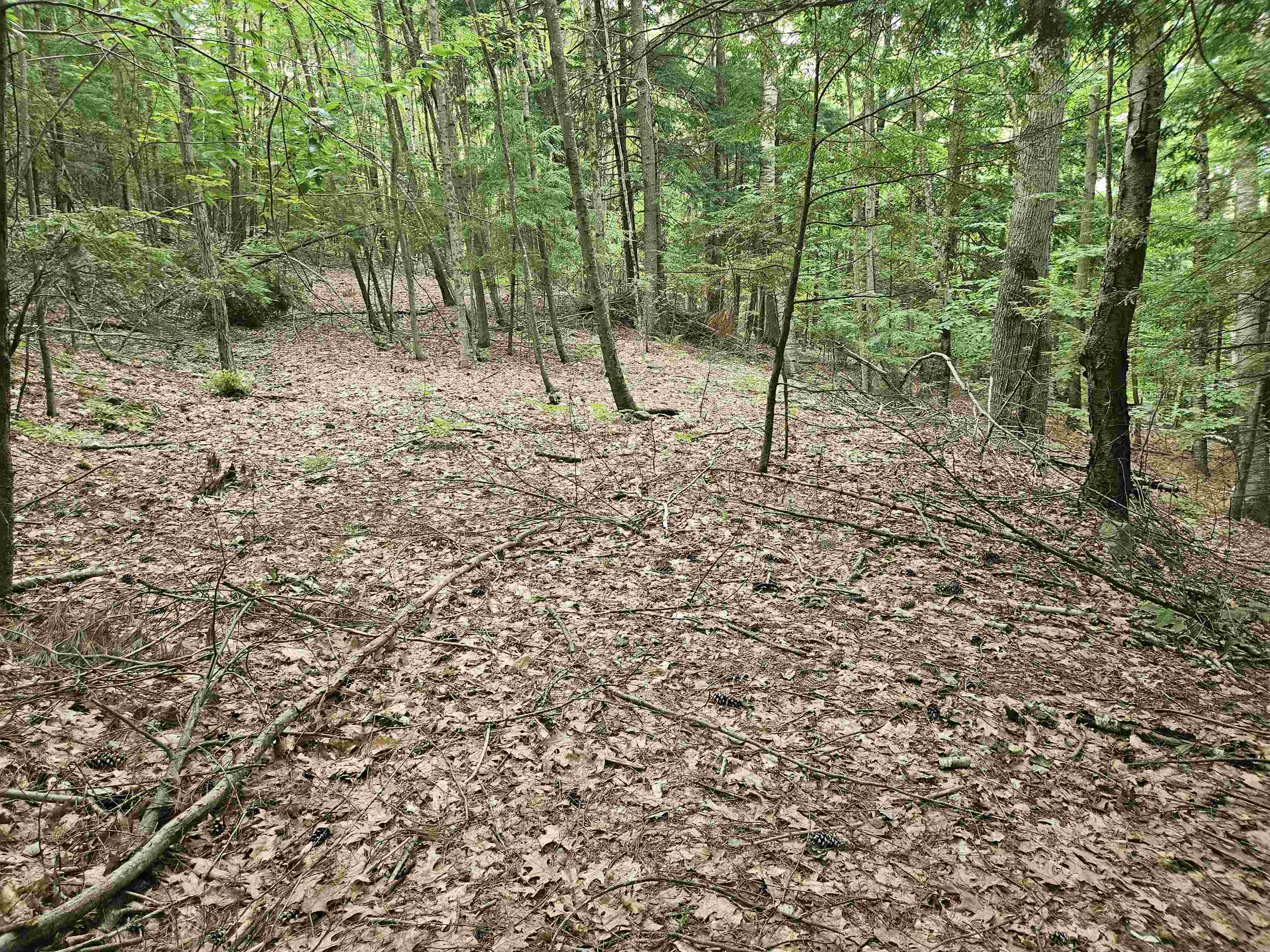 Map 132 Lot 115 Arrowhead Lane