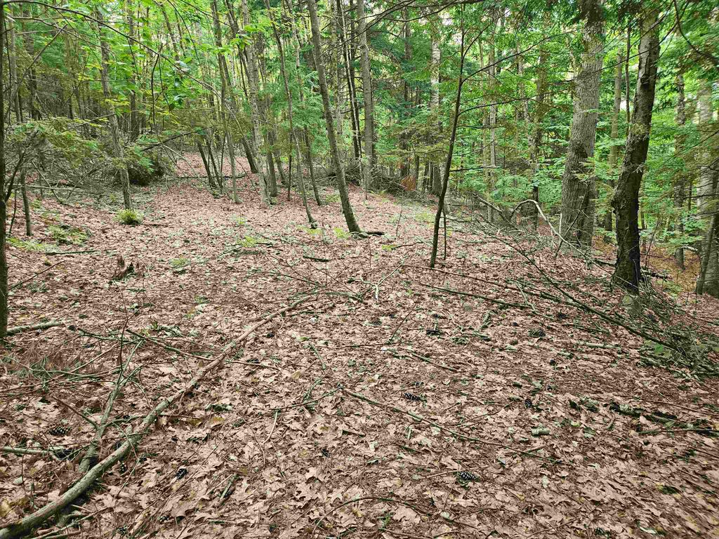 Photo of 132115 Arrowhead Lane, Gilmanton, NH 03237 (MLS # 5084065)