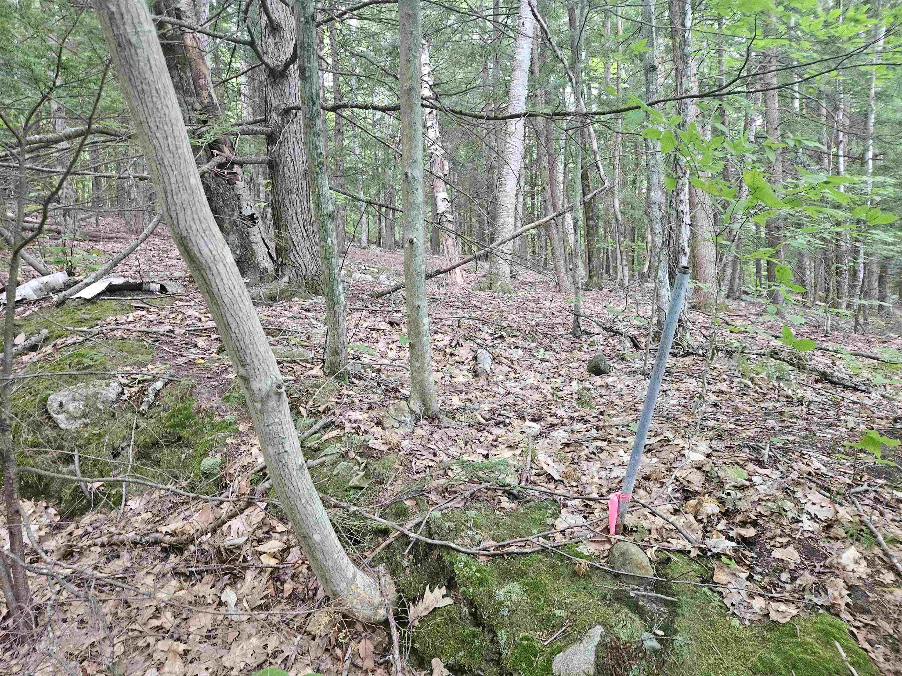 Map 132 Lot 115 Arrowhead Lane