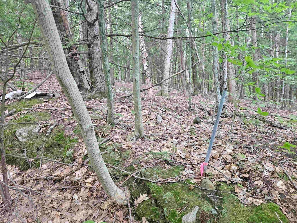 Photo of 132115 Arrowhead Lane, Gilmanton, NH 03237 (MLS # 5084065)