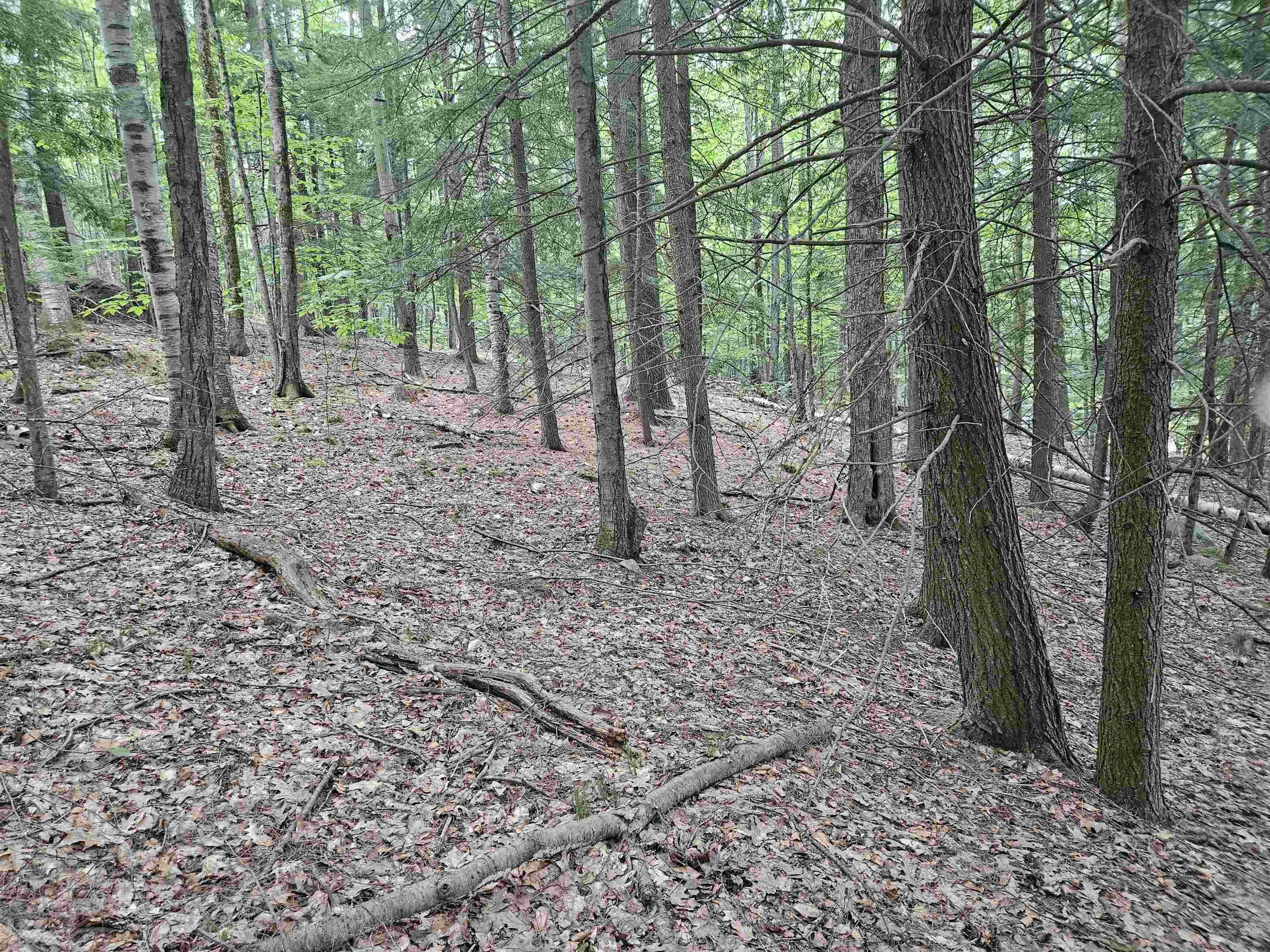 Map 132 Lot 115 Arrowhead Lane