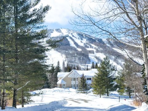 43C Dover Springs Lane Dover VT 05356