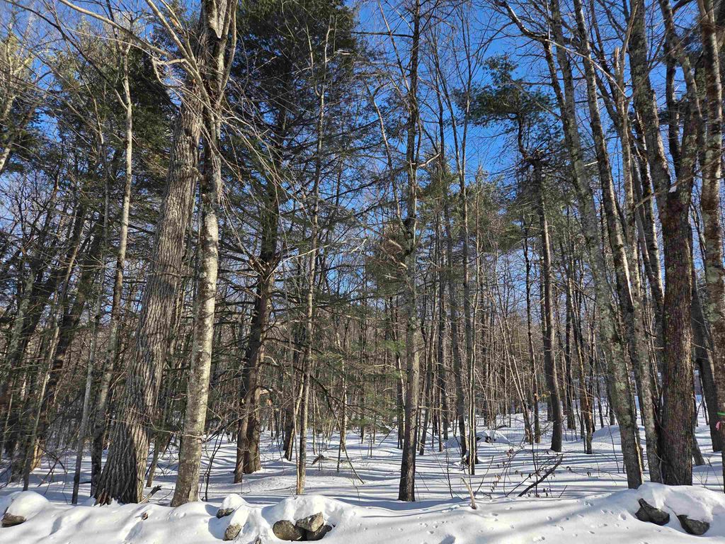 Photo of 164183 Mason Road, Milton, NH 03851 (MLS # 5076692)