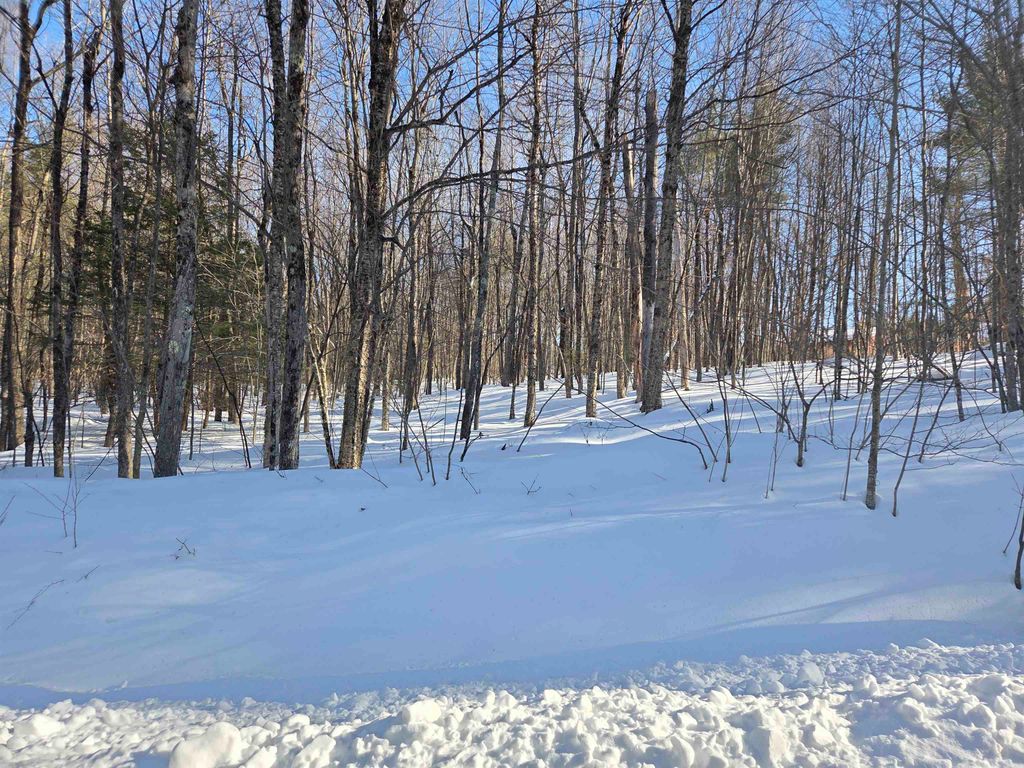Photo of 164183 Mason Road, Milton, NH 03851 (MLS # 5076692)
