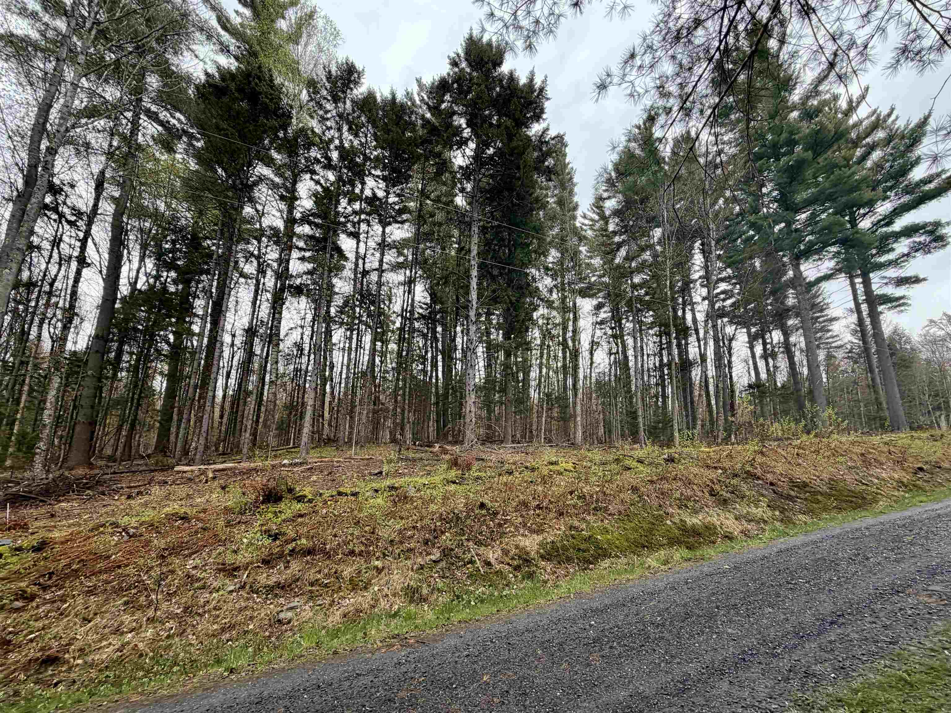 0 Bassett Hill Road