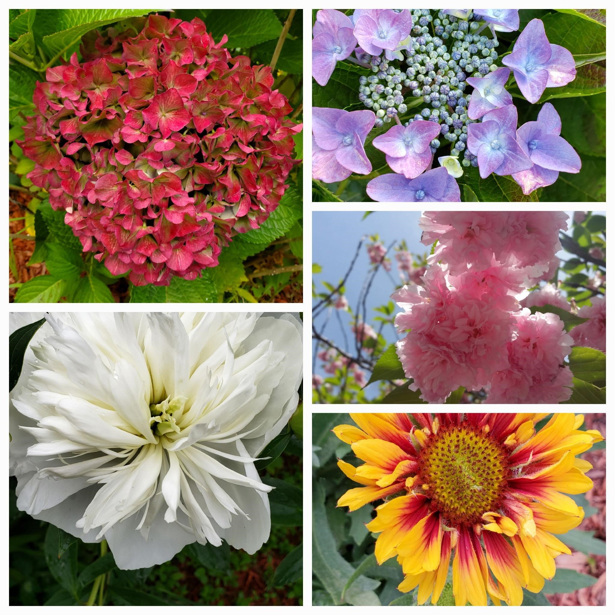 Nashua, New Hampshire 03060, United States, 4 Bedrooms Bedrooms, ,2 BathroomsBathrooms,Residential,Pending,83681