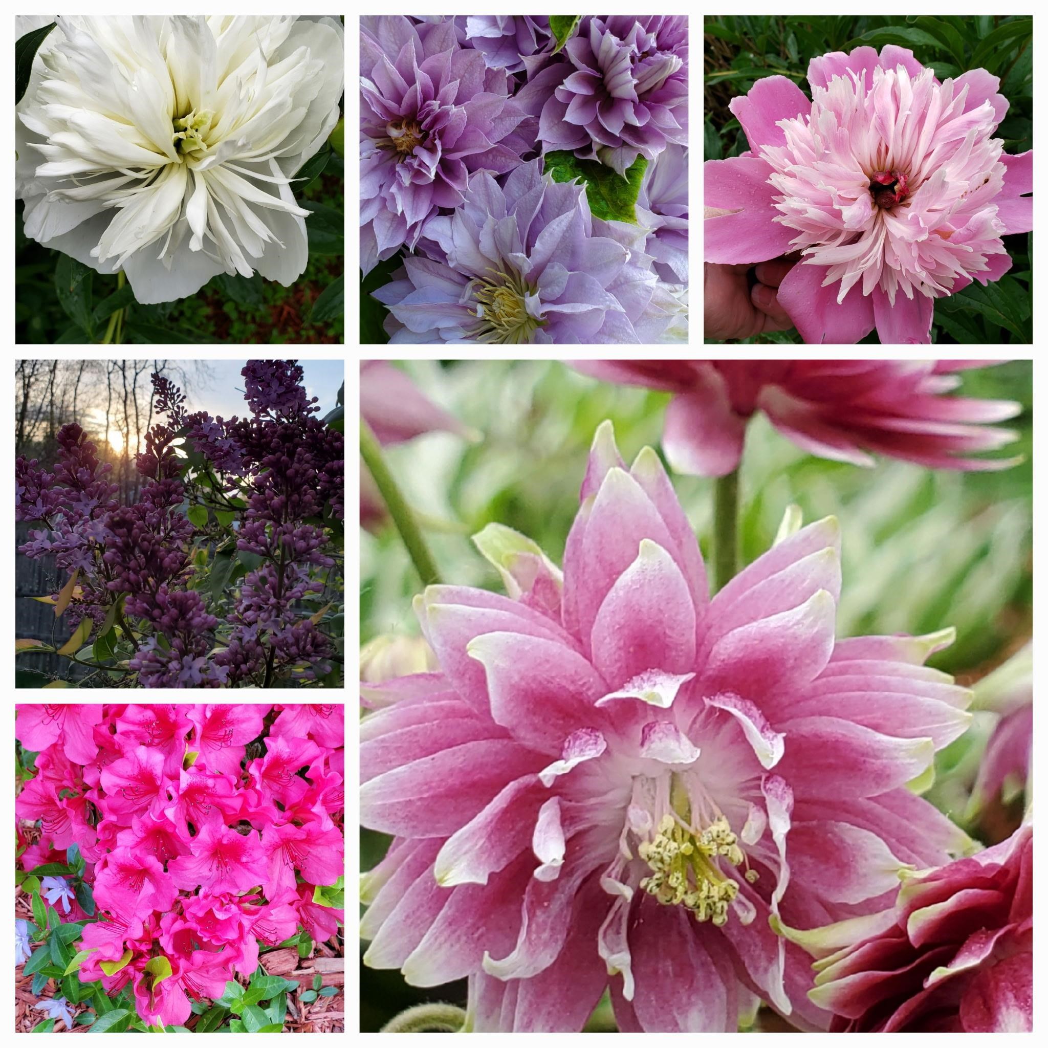 Nashua, New Hampshire 03060, United States, 4 Bedrooms Bedrooms, ,2 BathroomsBathrooms,Residential,Pending,83681