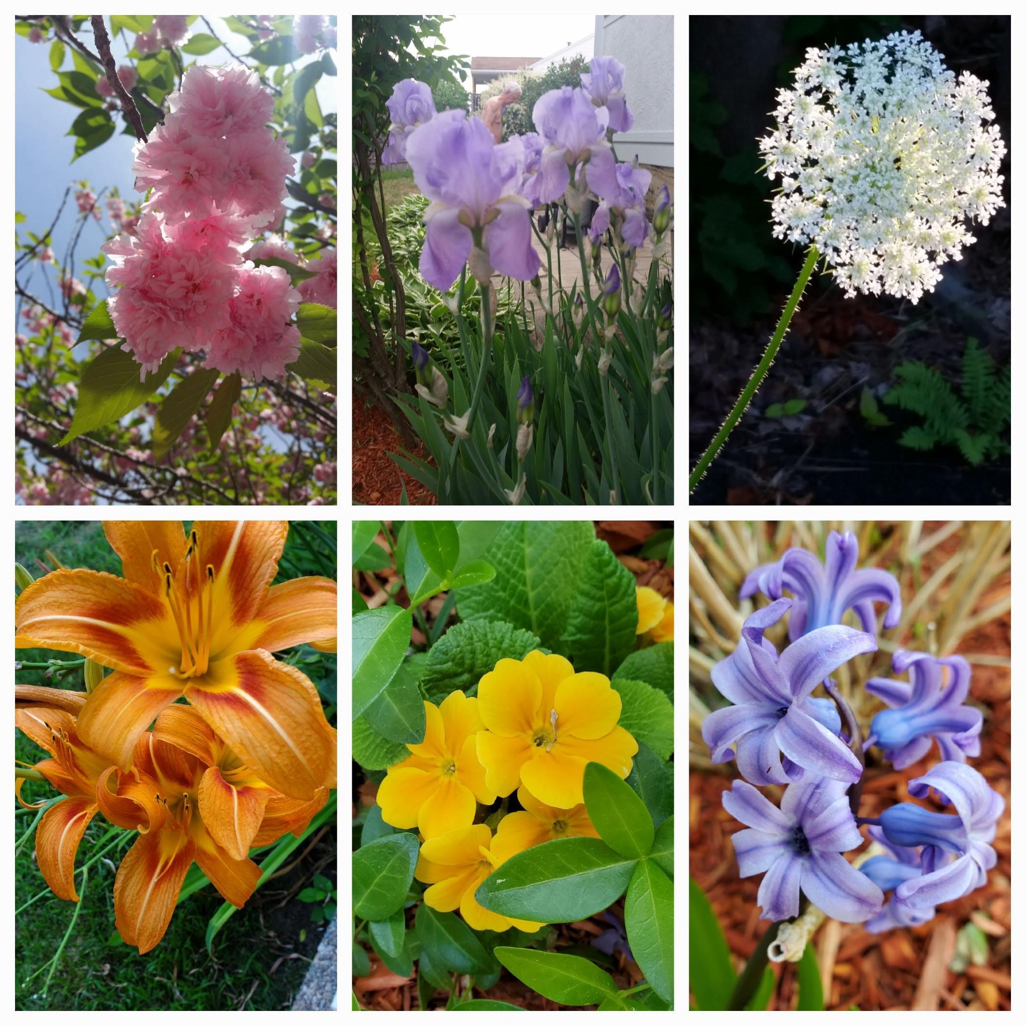 Nashua, New Hampshire 03060, United States, 4 Bedrooms Bedrooms, ,2 BathroomsBathrooms,Residential,Pending,83681