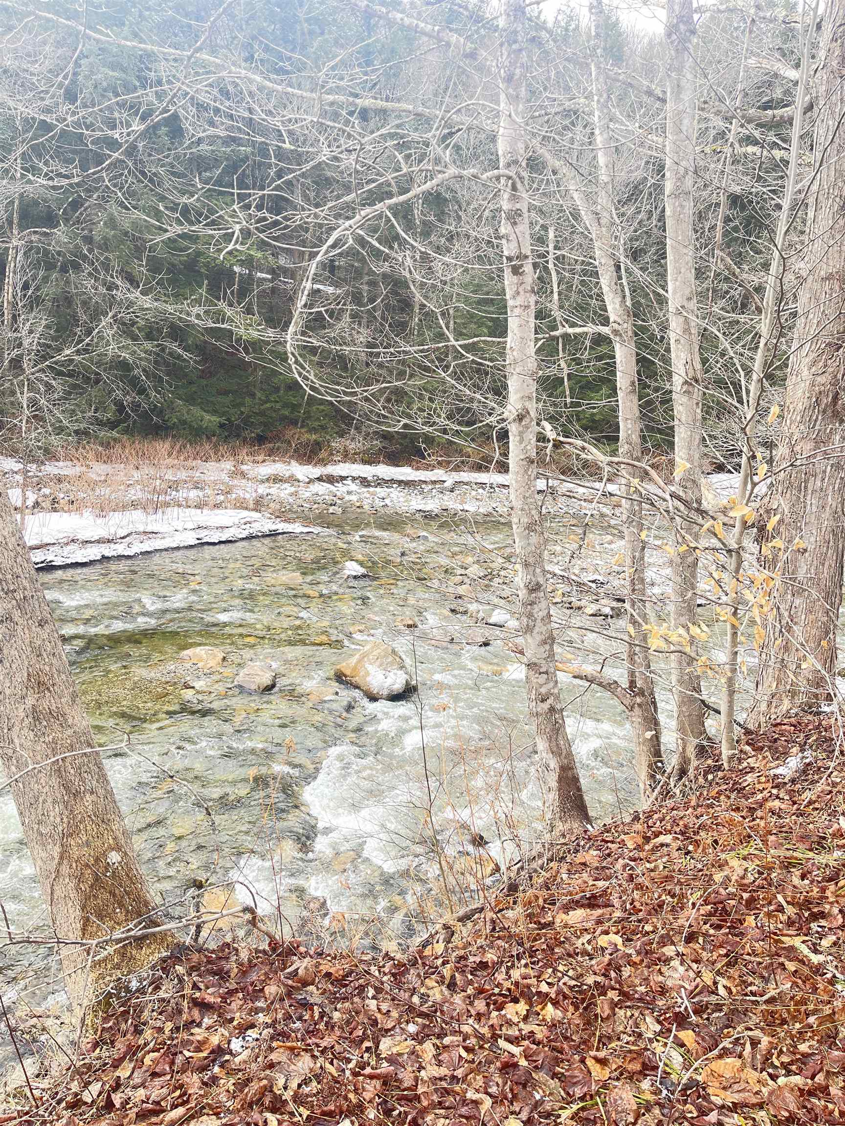 1726 West River Road