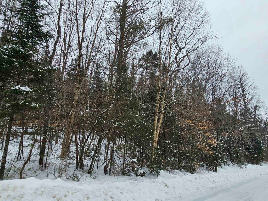 Photo of 11 Brook Road, Lyman, NH 03585 (MLS # 5077957)