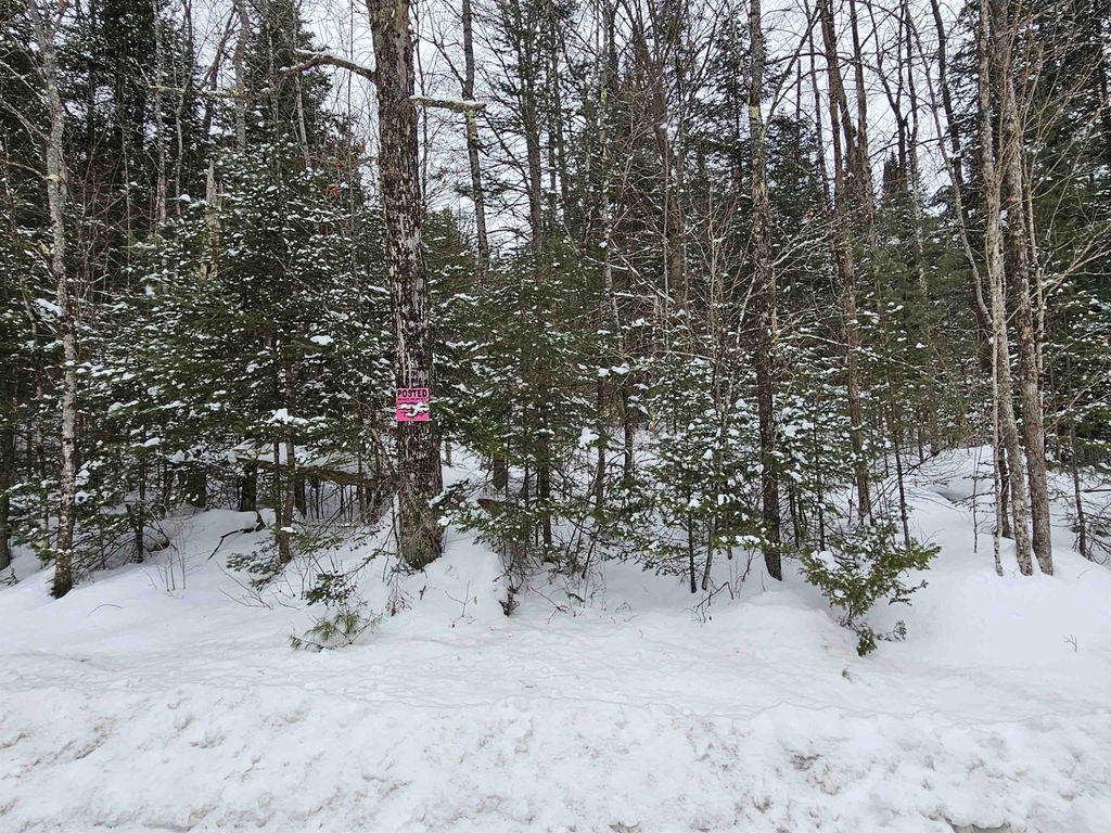 Photo of 11 Brook Road, Lyman, NH 03585 (MLS # 5077957)