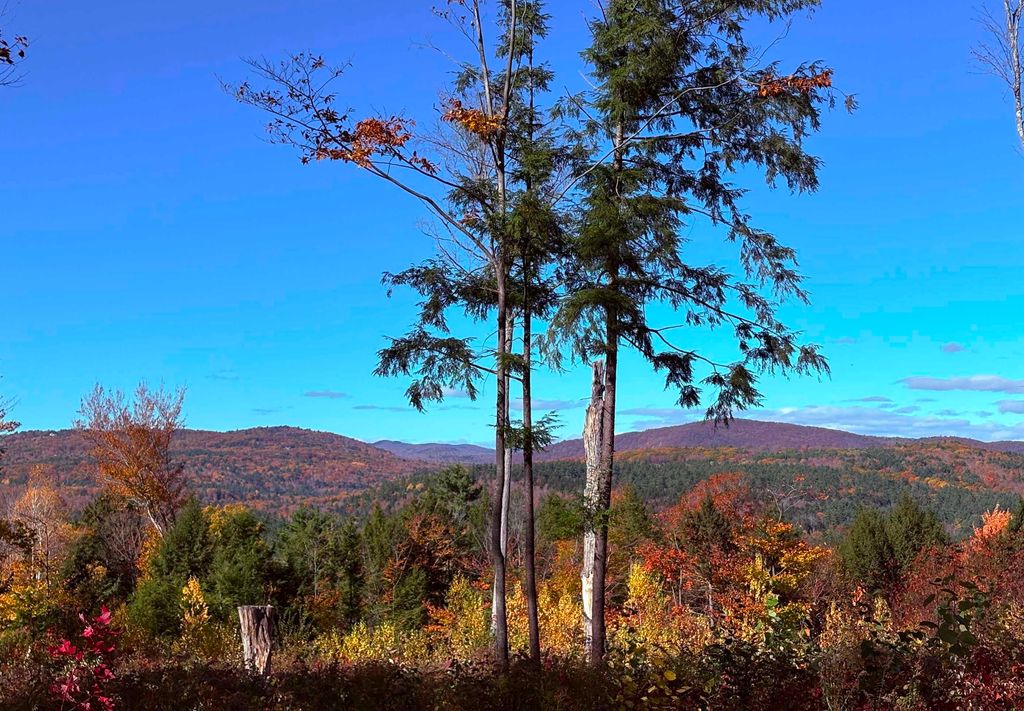 Photo of 63 Old Winslow Road, Wilmot, NH 03287 (MLS # 5030673)