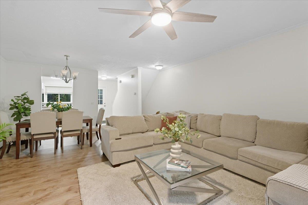 701 Dorset Street C15