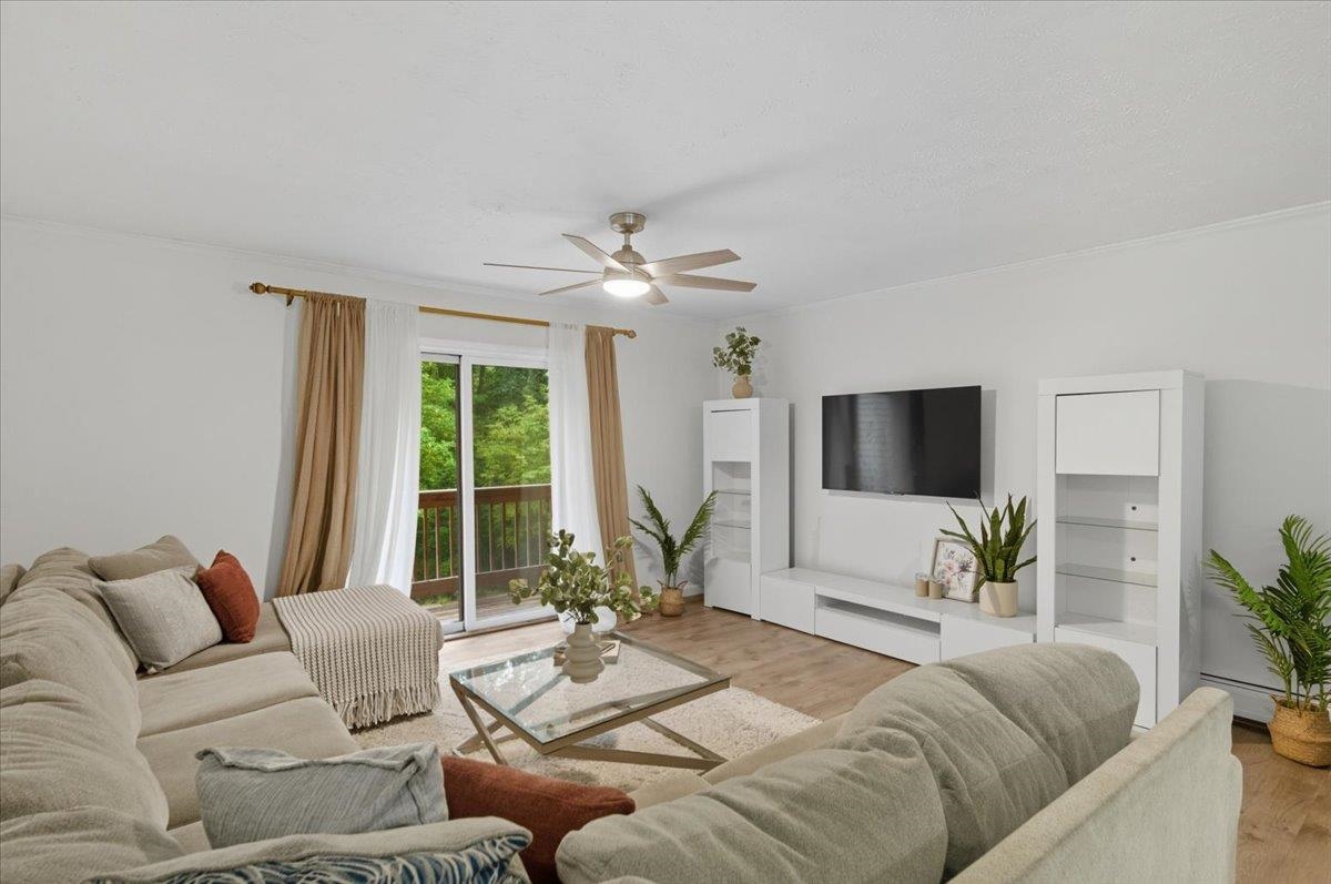 701 Dorset Street C15