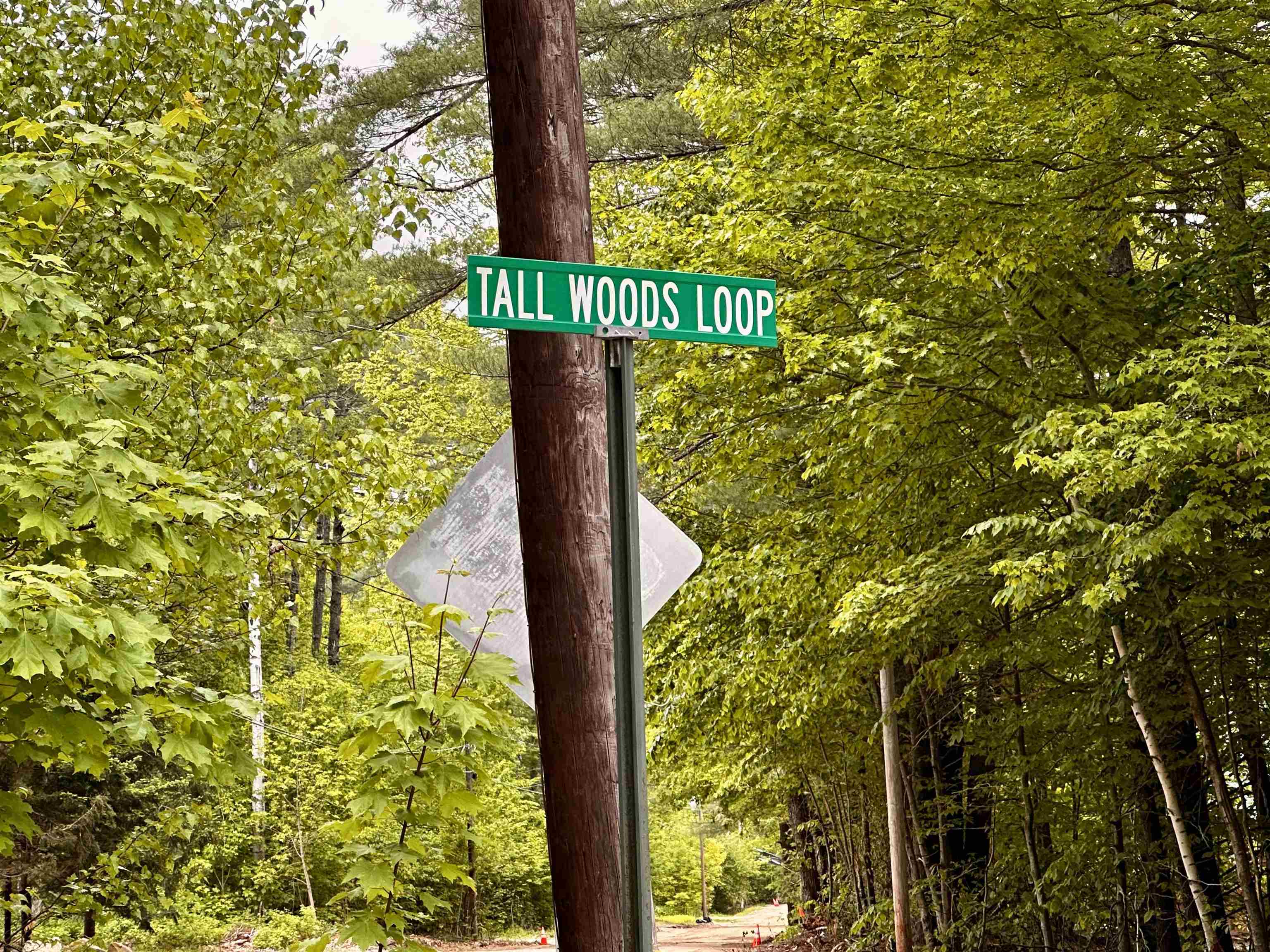00 Tall Woods Loop Lot 9