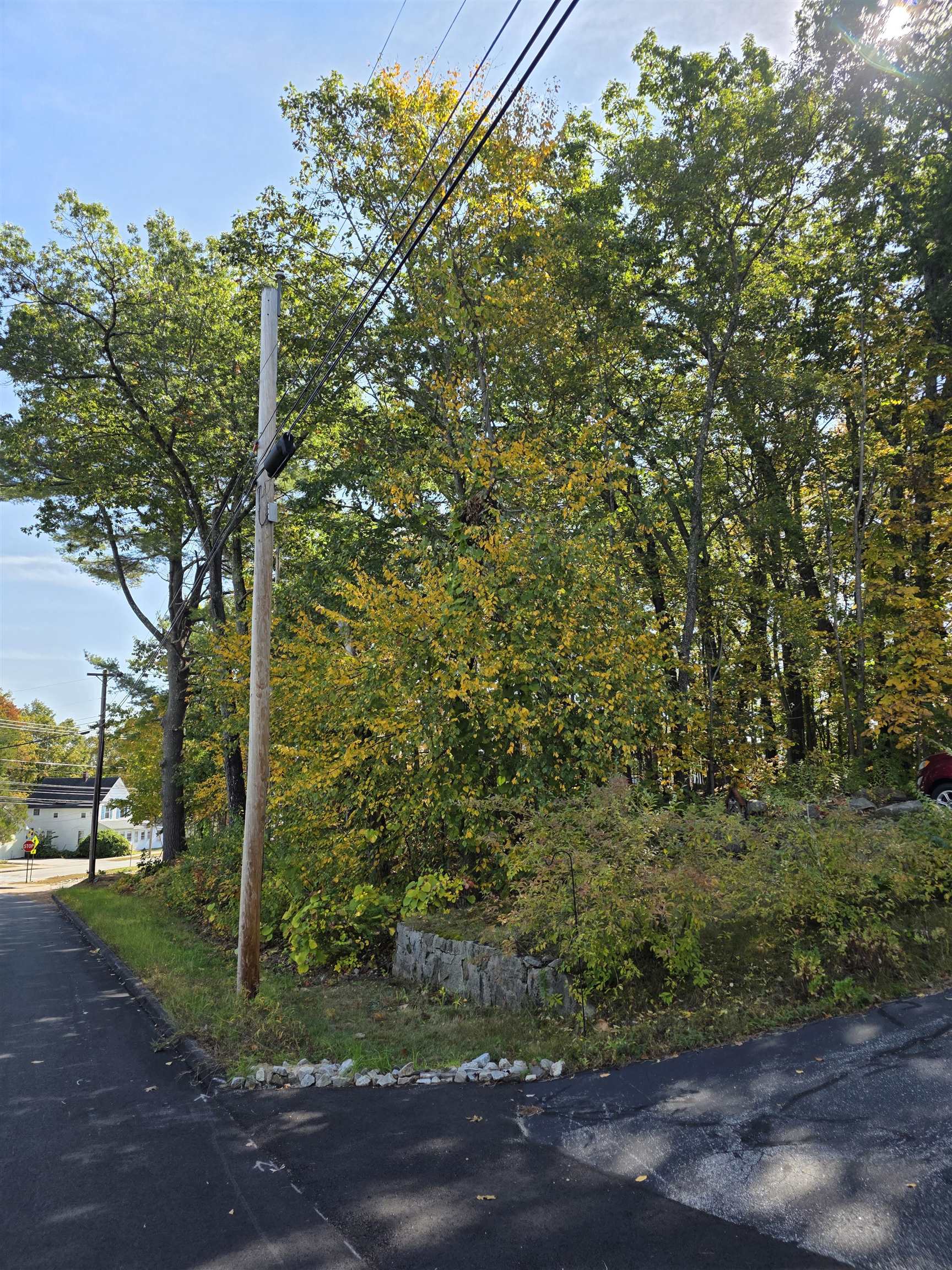 3 Palm Street UNIT B