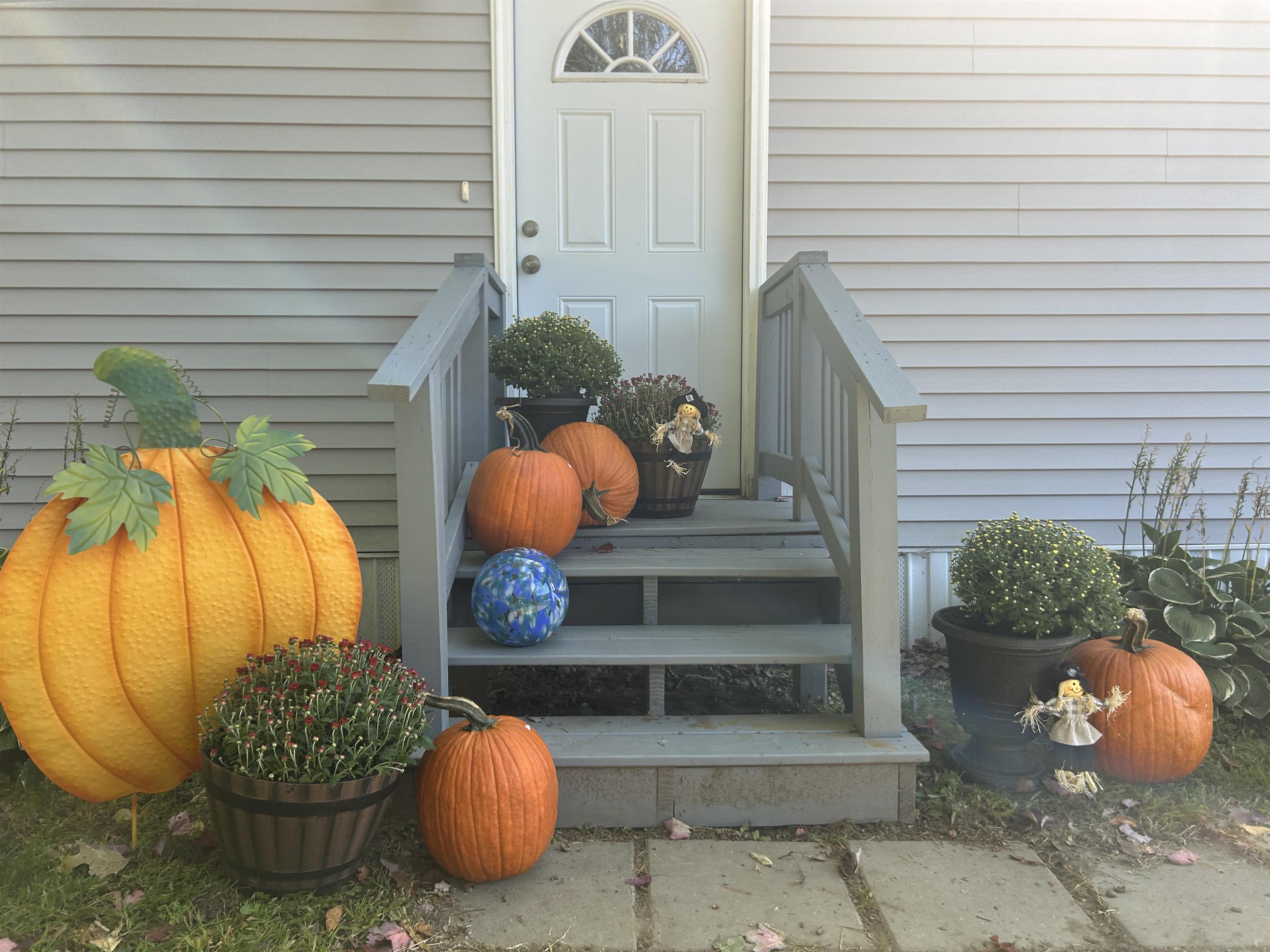 17 South Fuchsia Drive