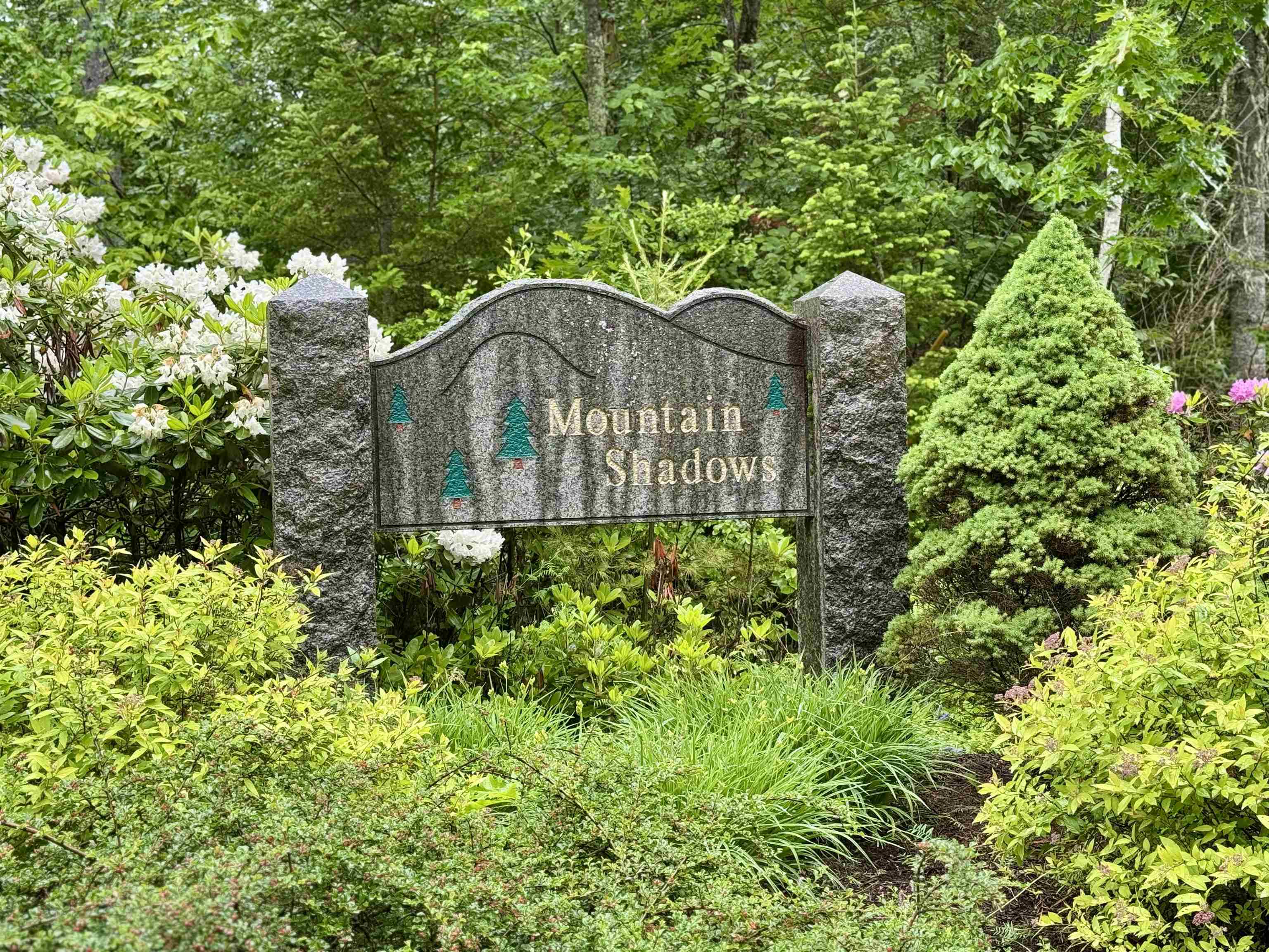 3 Mountain Shadows Drive