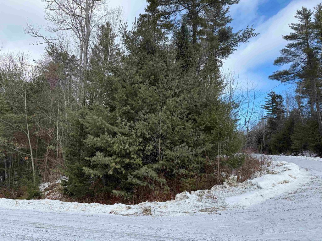 Photo of 11 Dove Lane, Canaan, NH 03741 (MLS # 5074278)