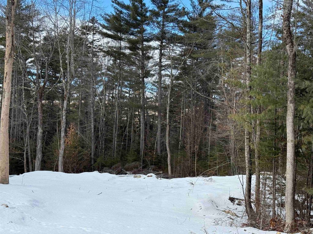 Photo of 11 Dove Lane, Canaan, NH 03741 (MLS # 5074278)