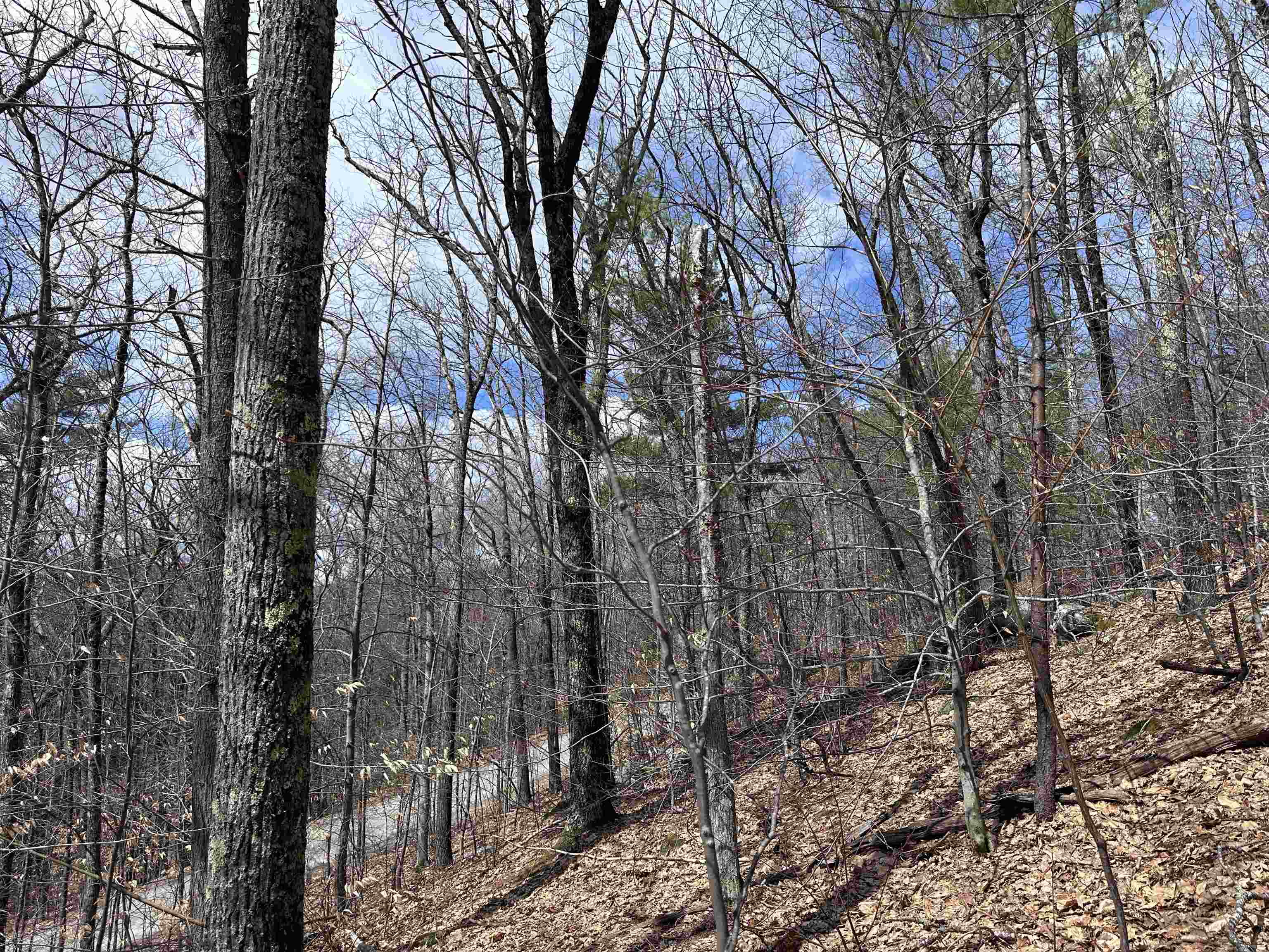 19 Saint Moritz Drive