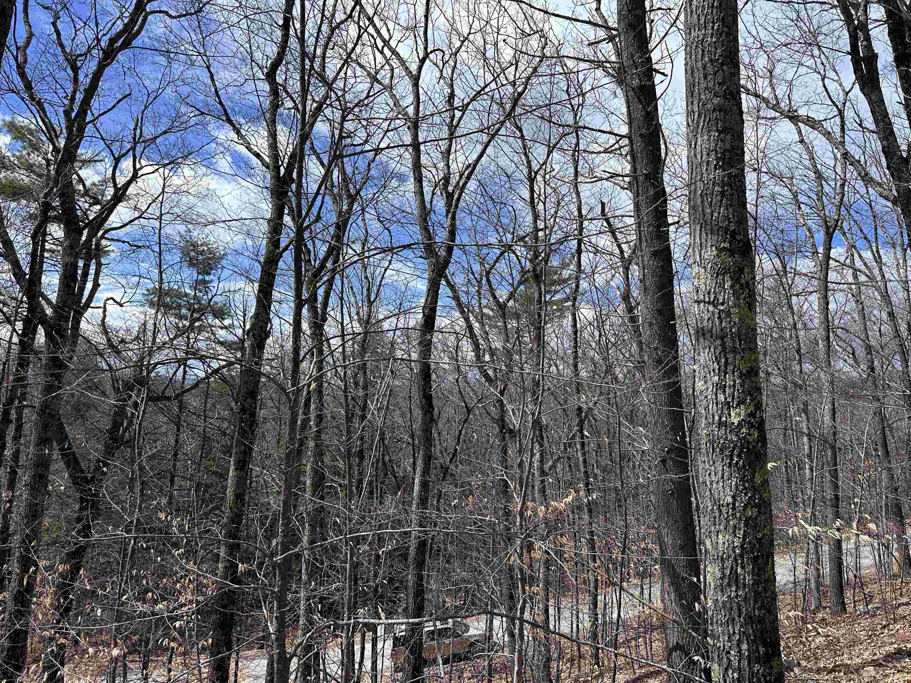 19 Saint Moritz Drive