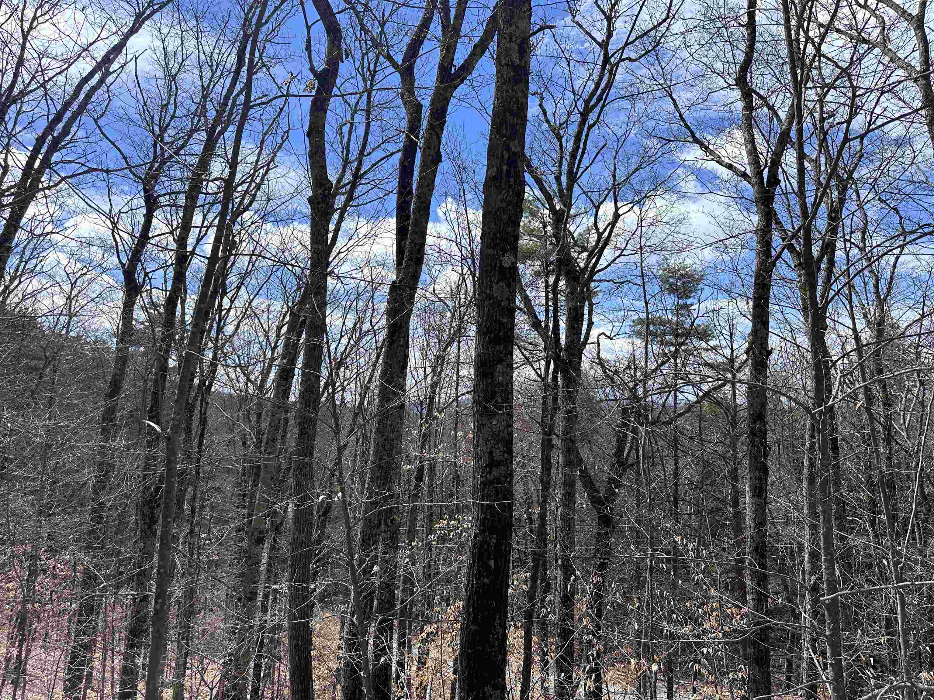 19 Saint Moritz Drive