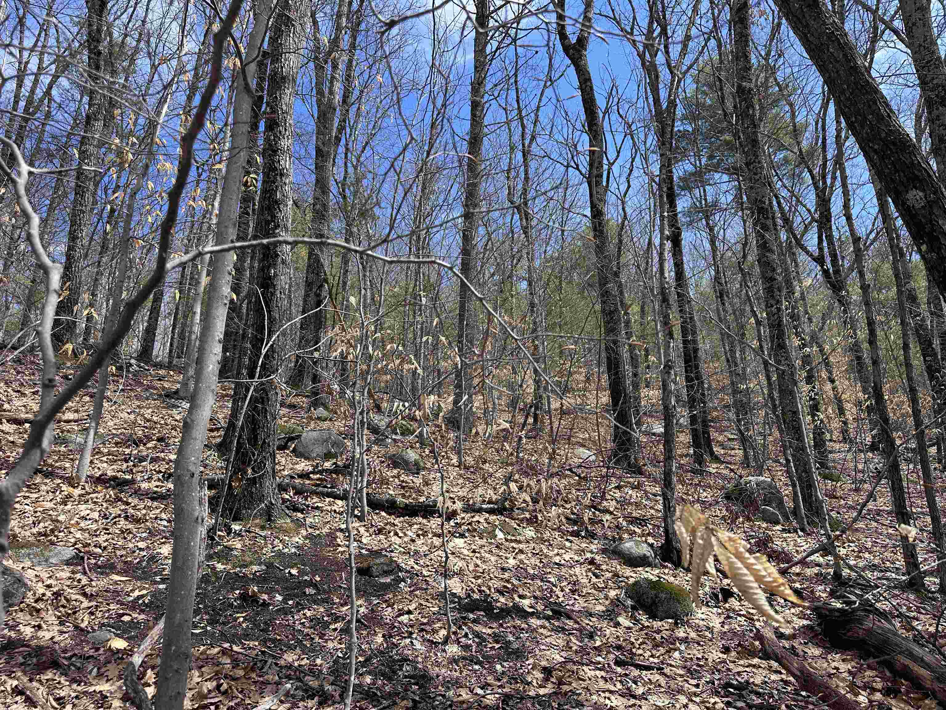 19 Saint Moritz Drive