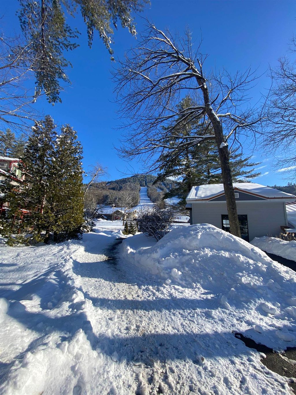 Photo of 2 River Run Drive #C, Bartlett, NH 03812 (MLS # 5077433)