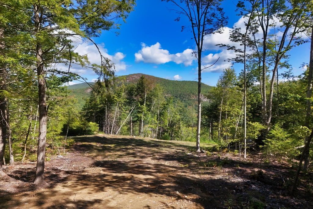 Photo of 1212108 Jacob Hall Farm Road #8, Rumney, NH 03266 (MLS # 5017239)