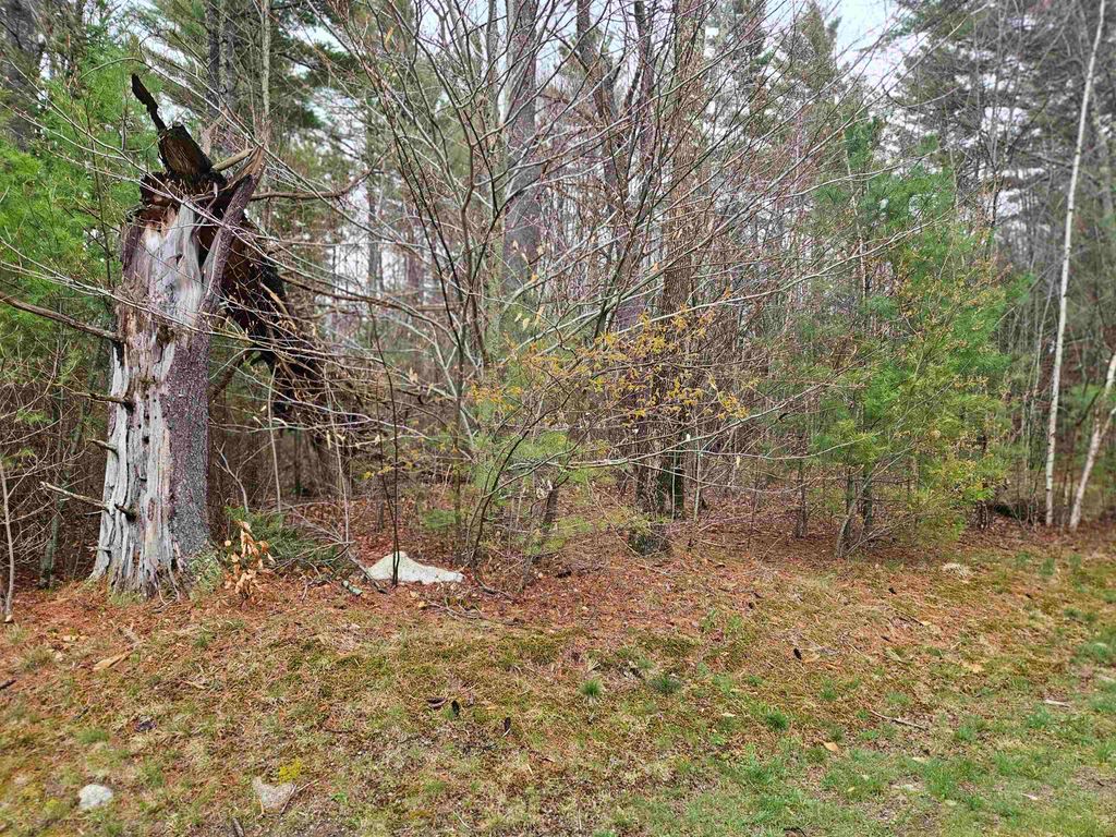 Photo of 20 Point of View Drive, Franconia, NH 03580 (MLS # 5086662)