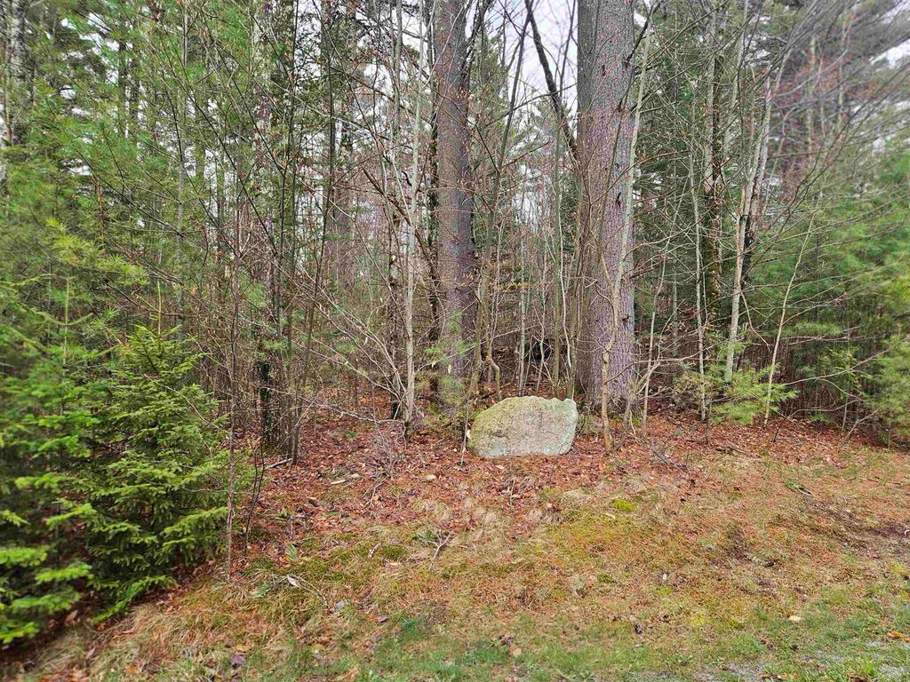 Photo of 20 Point of View Drive, Franconia, NH 03580 (MLS # 5086662)