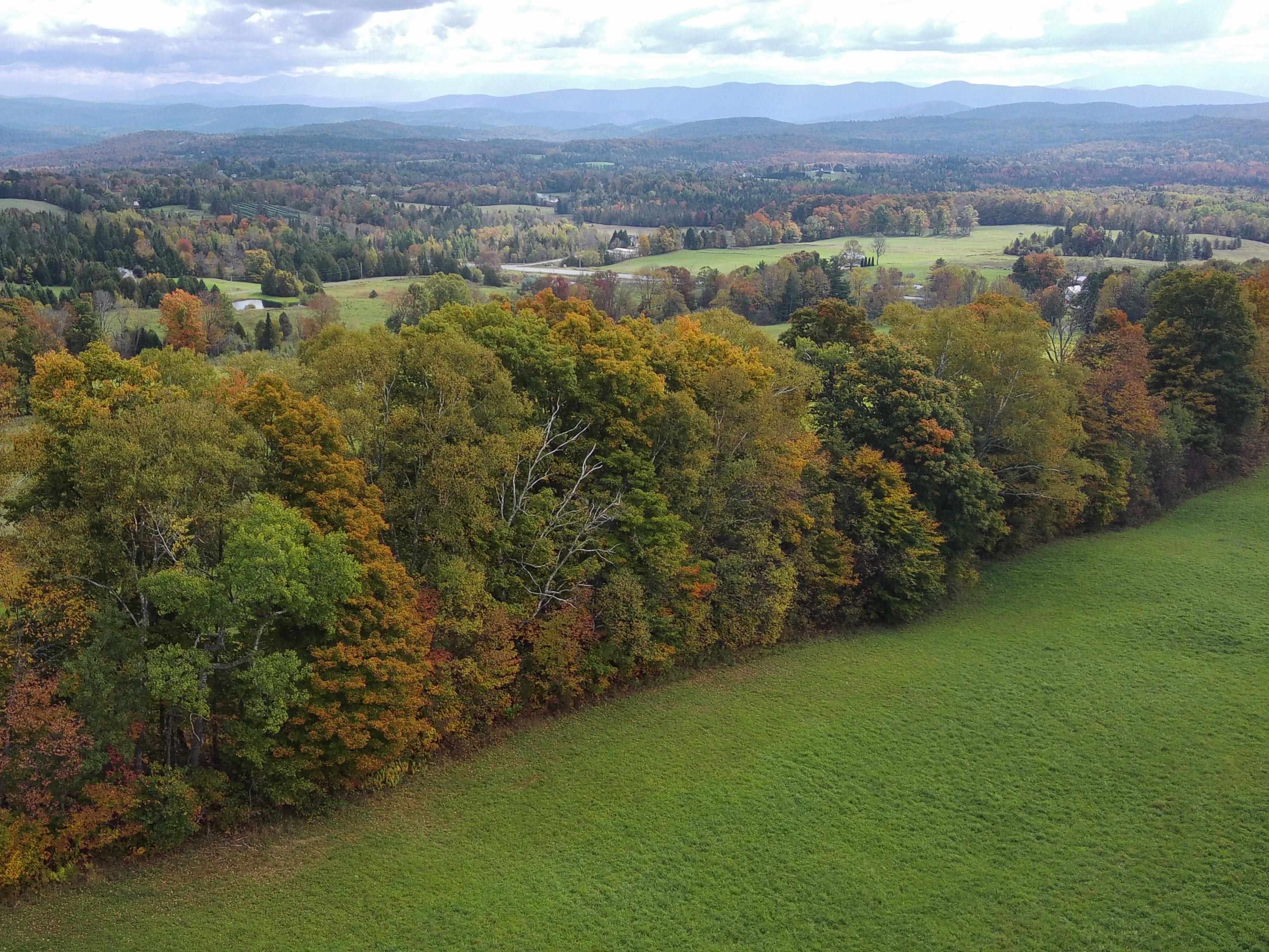 00 Walden Hill Road 2