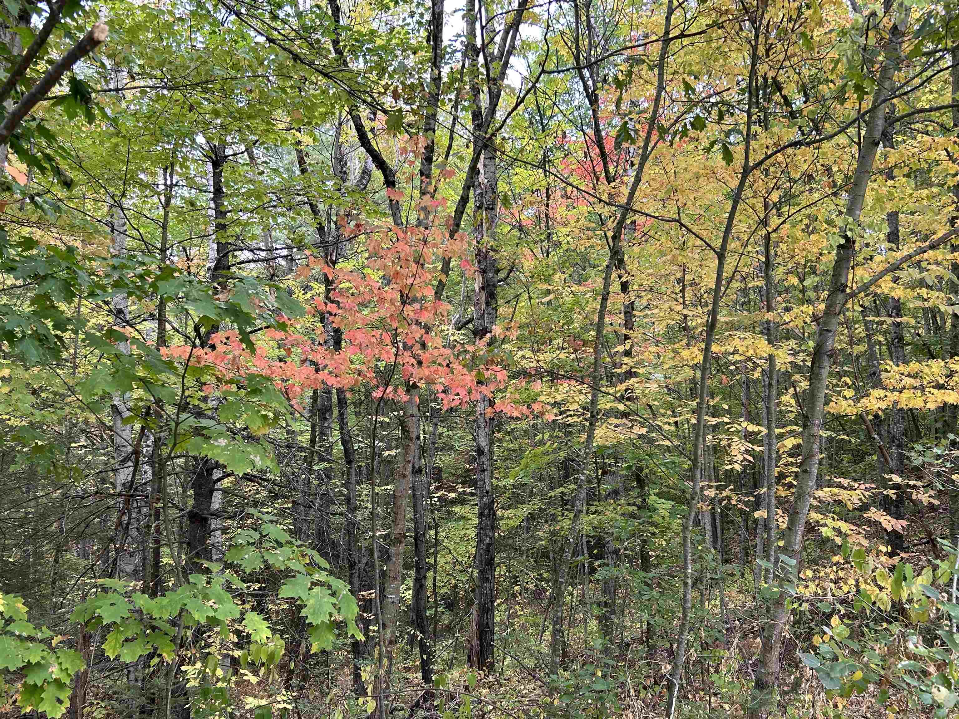 NH Route 175